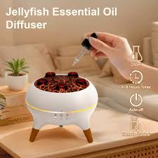 Aroma Diffuser Humidifier